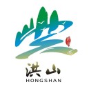 洪山政务