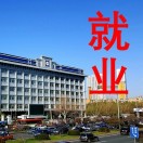 哈尔滨市就业地图