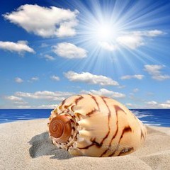 海螺花园业委会