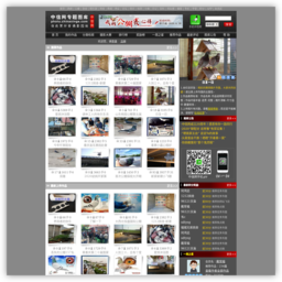 中信网专题图库