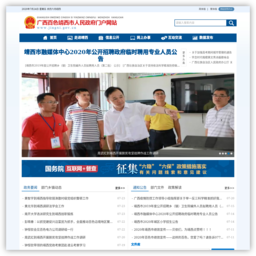 广西百色靖西市人民政府门户网